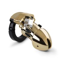 Pubic enemy no 1 kuisheidskooi - gold edition